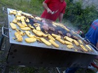 Grigli Grigliatori e Griglianti